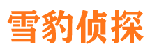 唐县私家调查公司